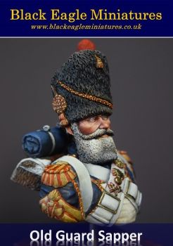Picture of French Old Guard Sapper 1815